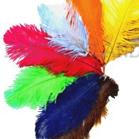 16 - 18" OSTRICH FEATHERS